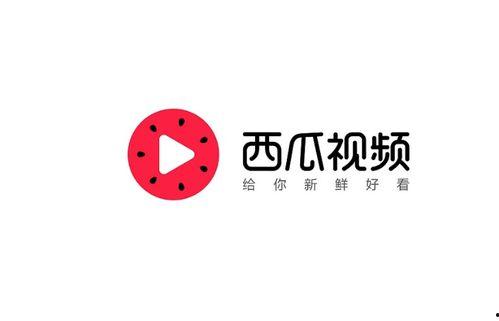 西瓜视频发布头条,揭秘热门视频背后的制作秘籍