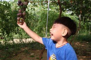 95后宝妈吃瓜,揭秘娱乐圈幕后故事