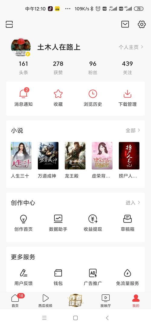 头条怎样看粉丝量,粉丝量背后的增长秘诀