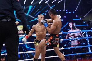 中国搏击明星大全,中国搏击明星大全人物志