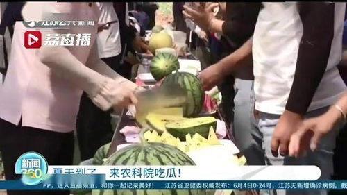 农科院吃瓜视频,揭秘吃瓜视频背后的农业科技魅力