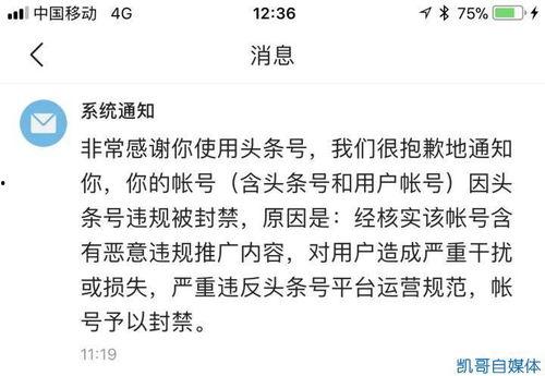 头条号被封如何处理,头条号被封？教你如何应对及恢复账号