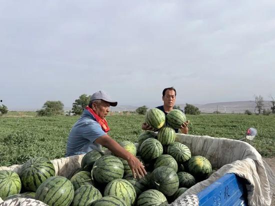 吃瓜也门,揭秘中东战火中的平民生活