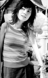 大众情人明星,闪耀舞台的璀璨星辰