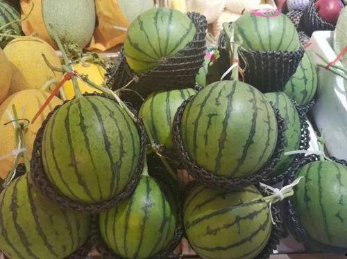 吃瓜的小矮瓜,揭秘娱乐圈那些事儿