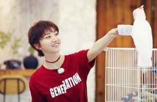 沈楠吃瓜,揭秘娱乐圈背后的那些事儿