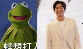 蛙明星,闪耀舞台的绿色精灵