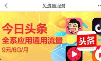 9 元头条专享流量包,头条专享包带你畅游网络世界！”