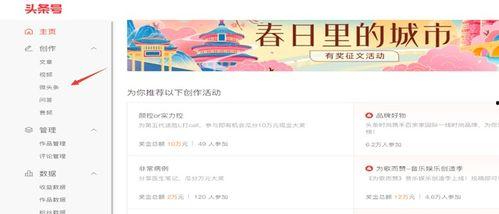 头条号后面是什么内容,热门内容背后的秘密与趋势