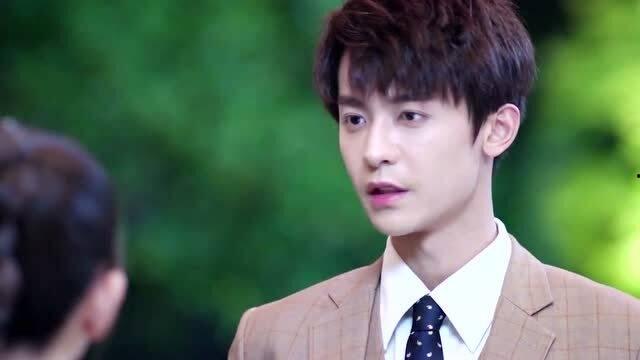 实习明星,职场新秀的蜕变之路