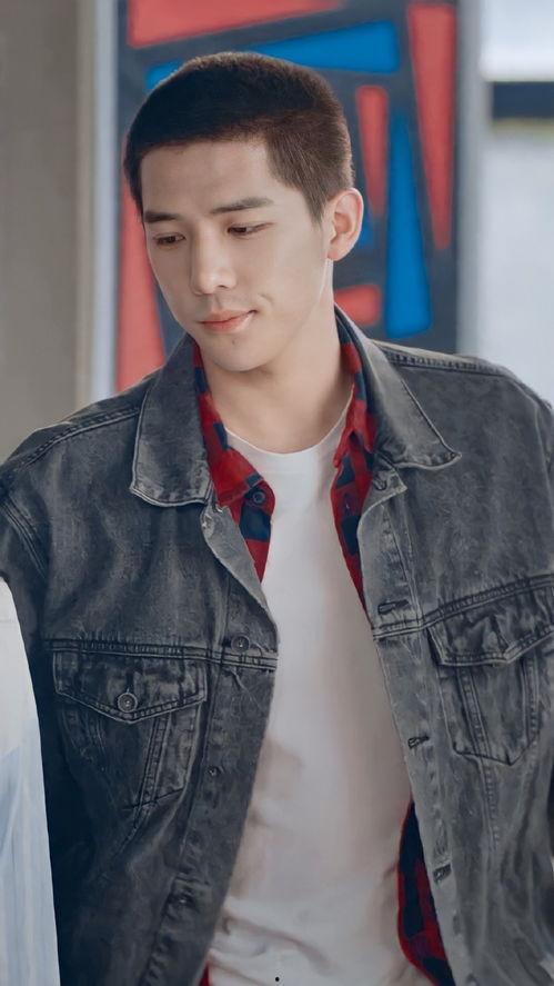 95后大陆男明星,95后大陆男明星风采录