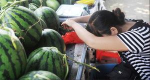 梦到大姐卖瓜给我吃,大姐卖瓜的温馨回忆